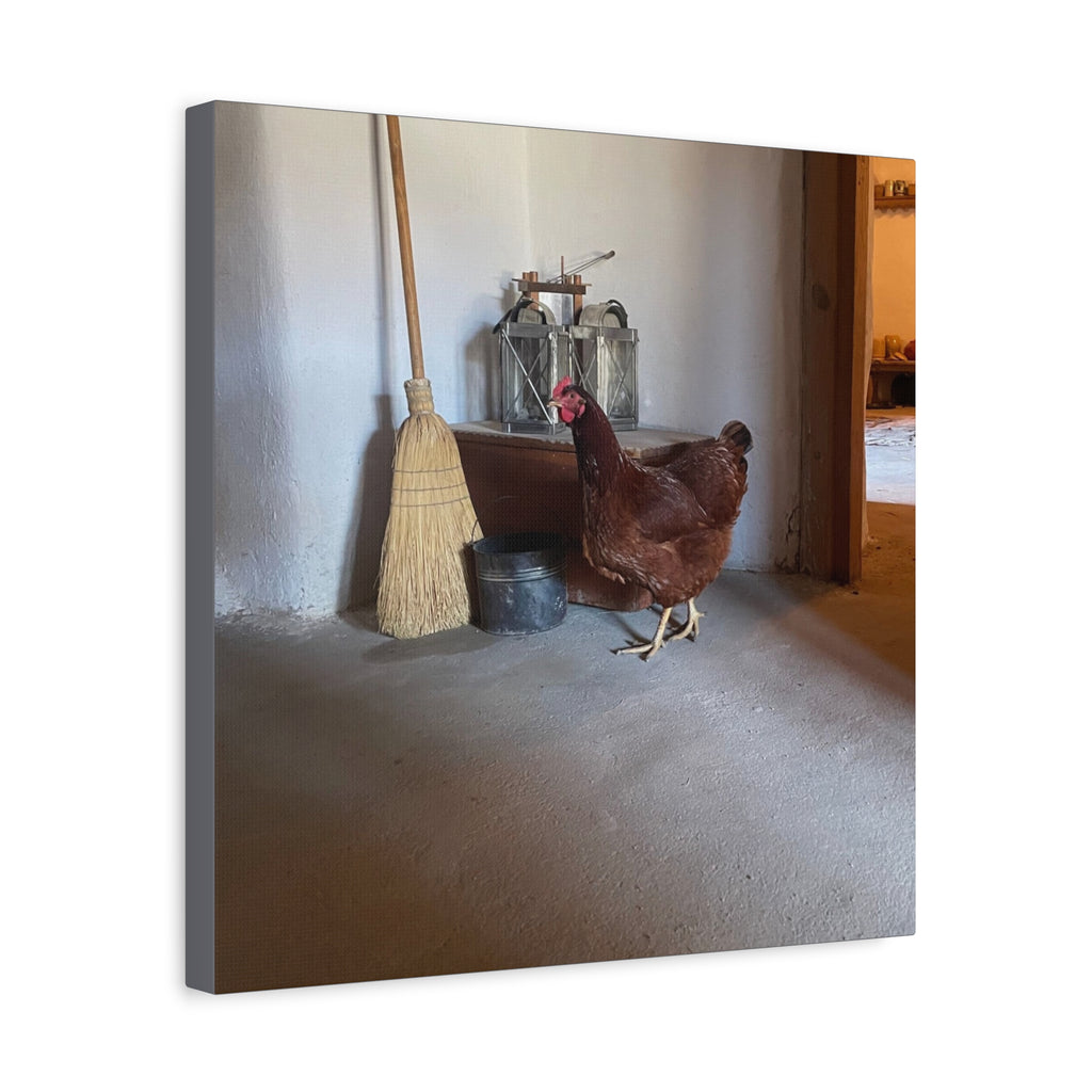 Farmhouse Chicken Canvas Print - Rustic Hen Matte Stretched Wall Art