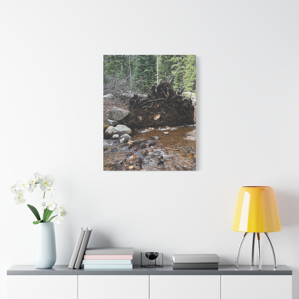 Riverbank Forest Canvas Print – Matte Stretched Wall Art (1.25")