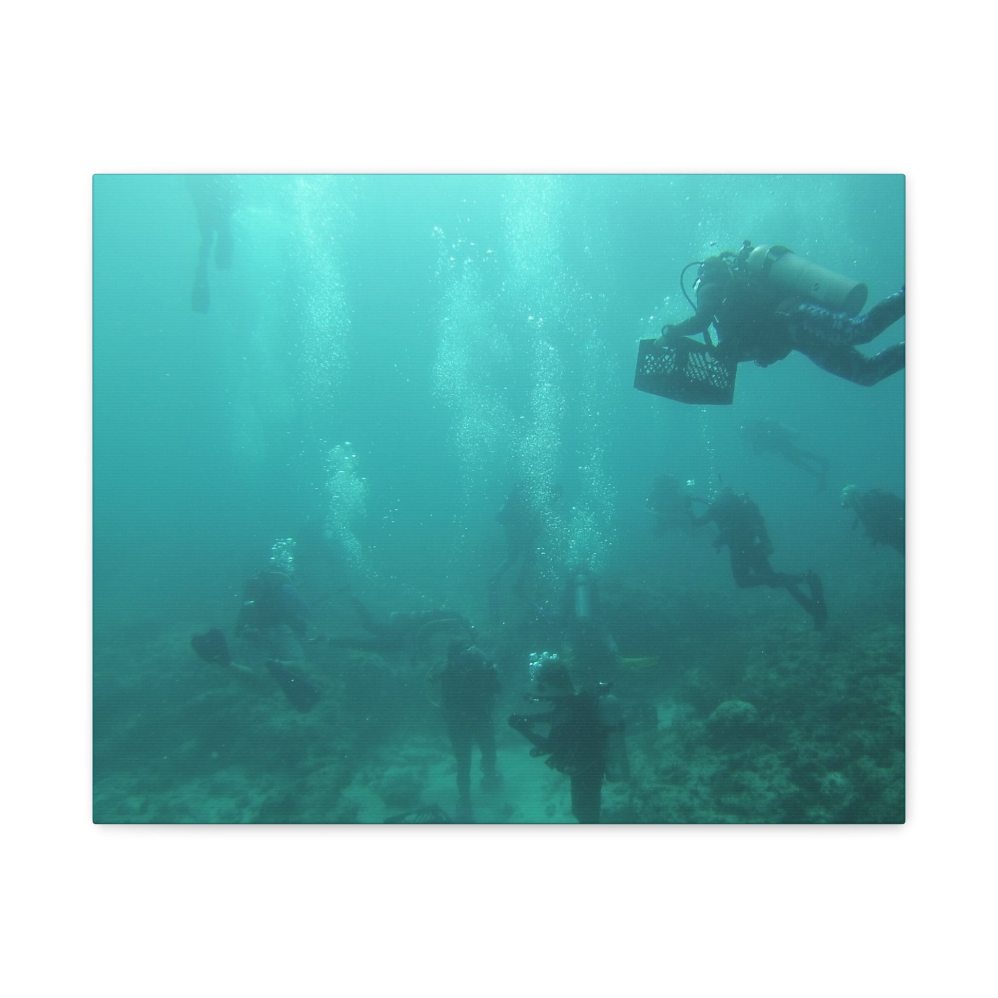 Diving over the Reef Matte Canvas