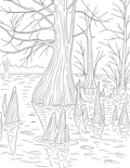 Nature Scene Coloring Pages