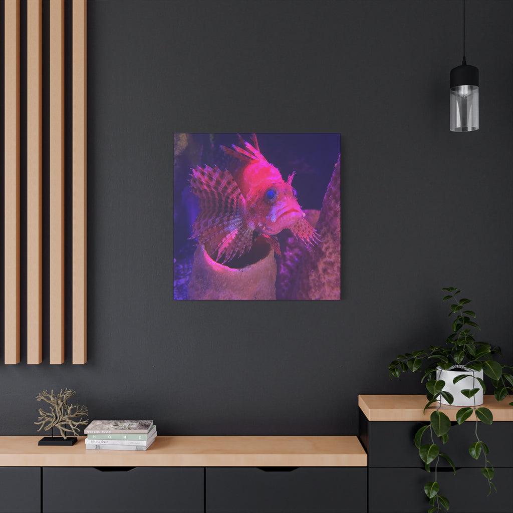 Fuzzy Dwarf Lionfish Canvas Print — Vibrant Marine Wall Art (1.25" Stretched)