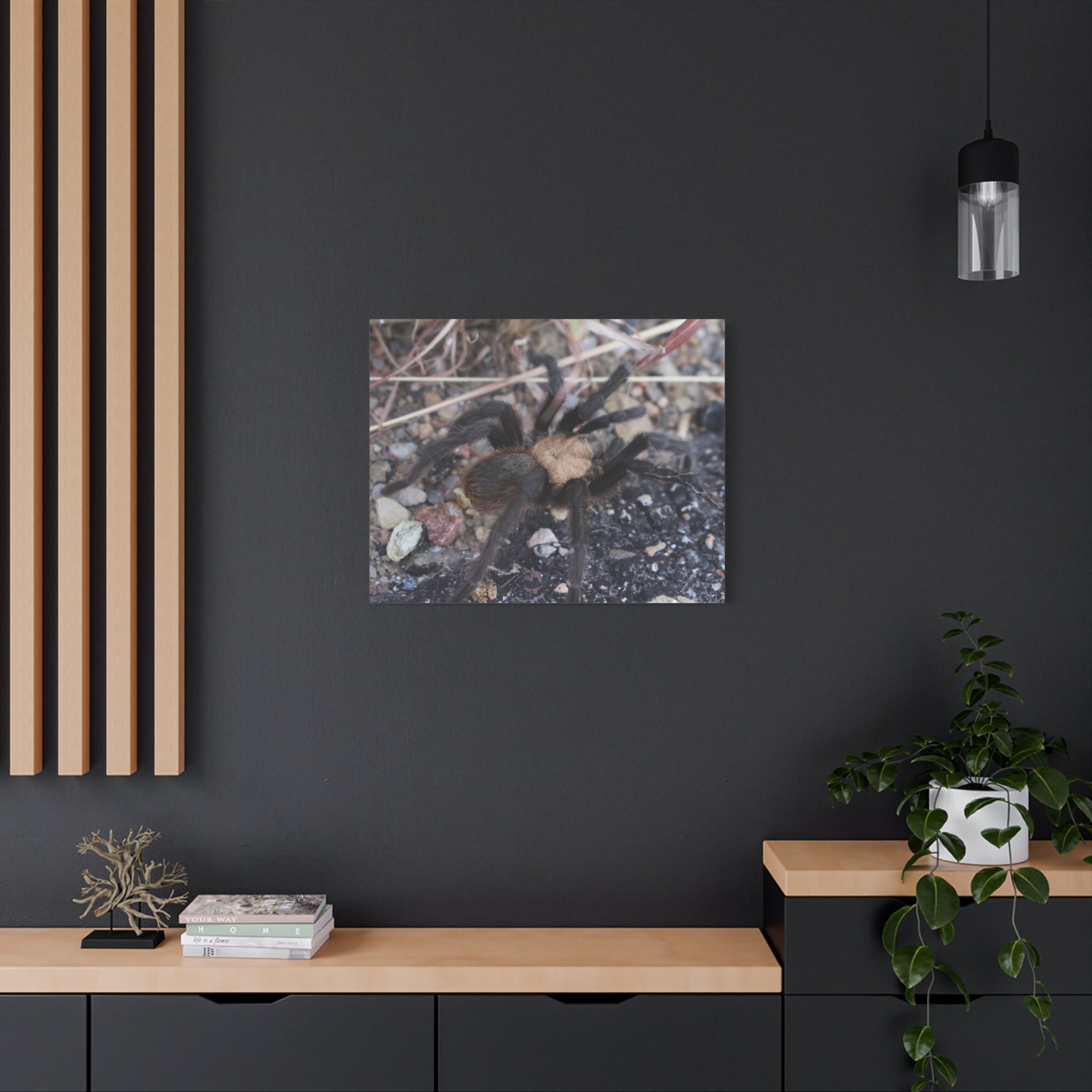 Tarantula Canvas Print — Matte Stretched Wall Art