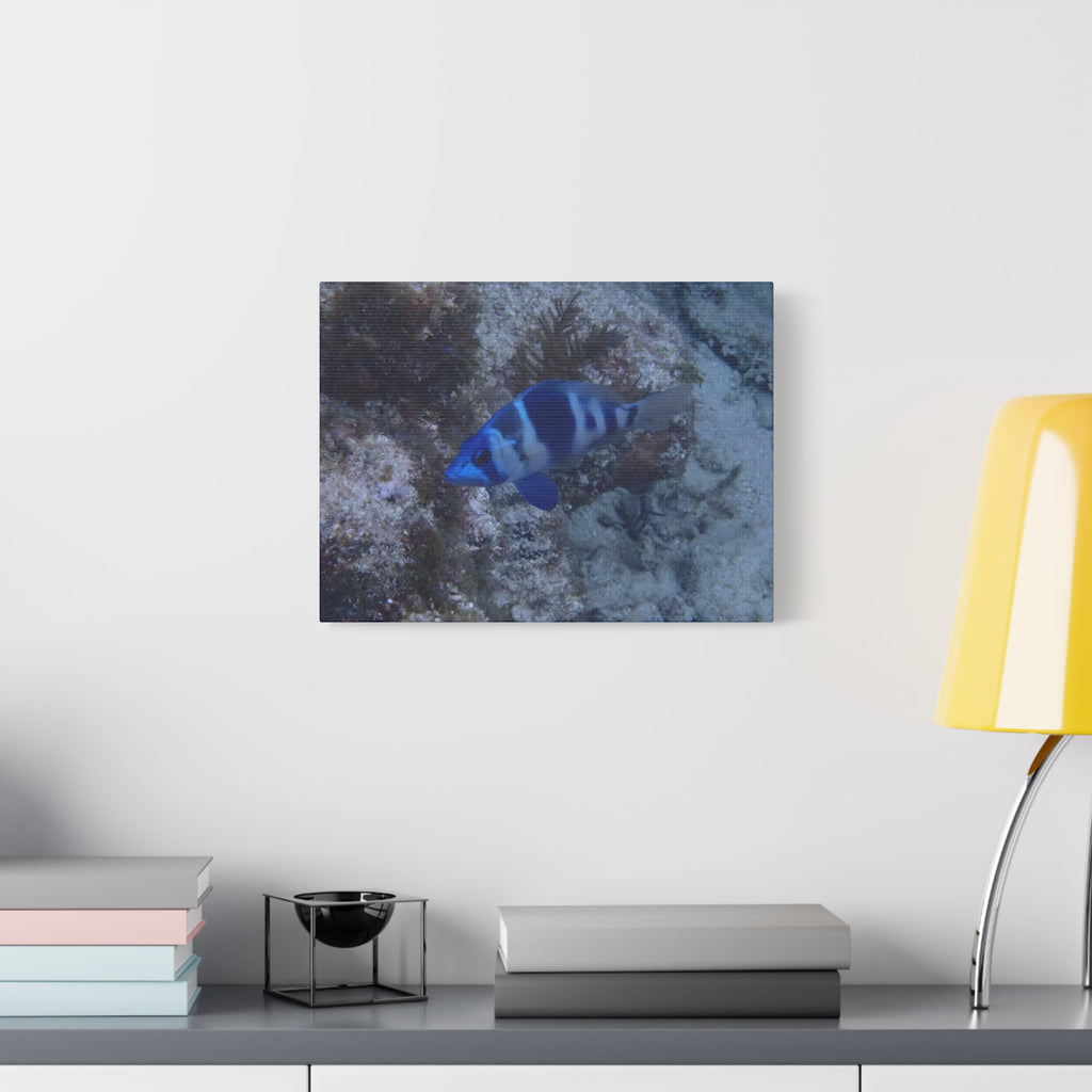 Indigo Hamlet Canvas Print — Underwater Matte Stretched Wall Art