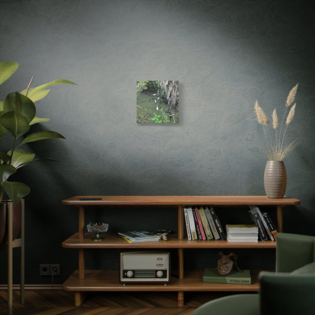 Swamp Egrets Canvas Print — Matte Stretched Nature Wall Art