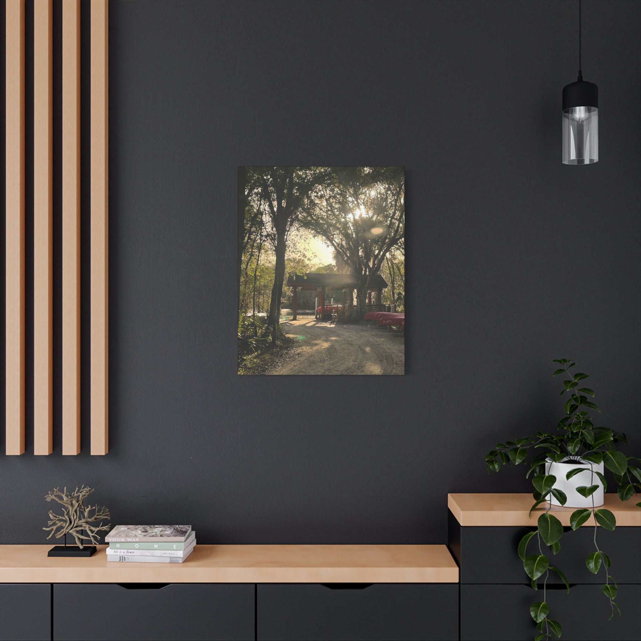 Hazy Morning Kayak - Sunlit Forest Matte Stretched Wall Art