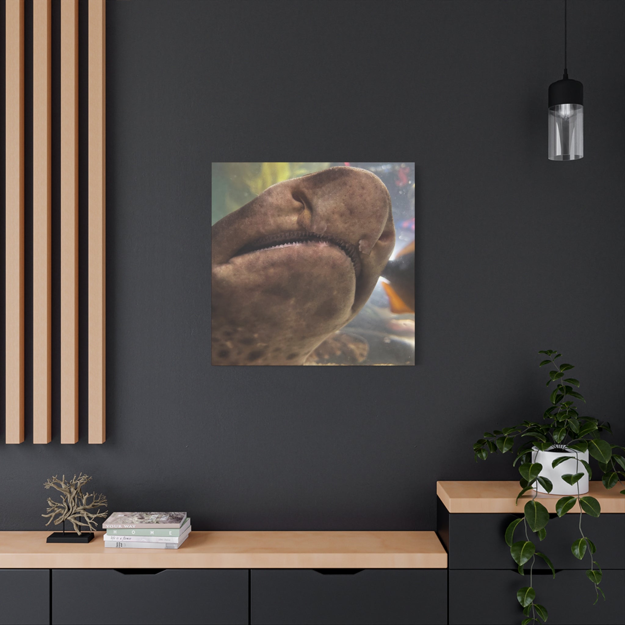 Swell Shark Close-Up Matte Canvas Print — Stretched 1.25" Wall Art