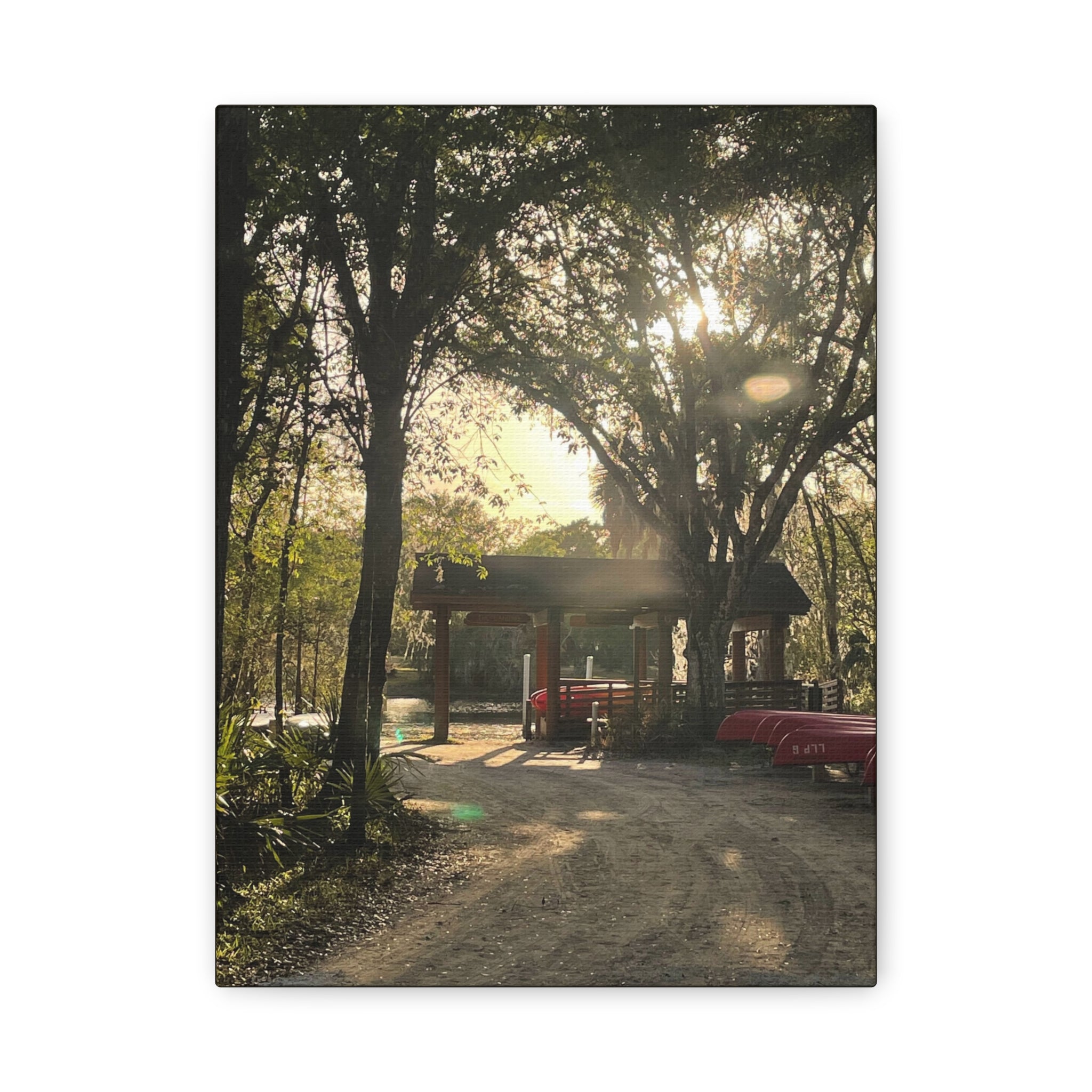 Hazy Morning Kayak - Sunlit Forest Matte Stretched Wall Art