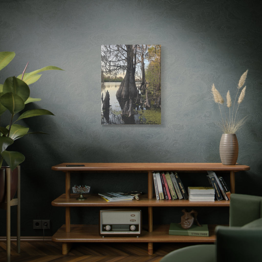 Swamp Matte Stretched Canvas