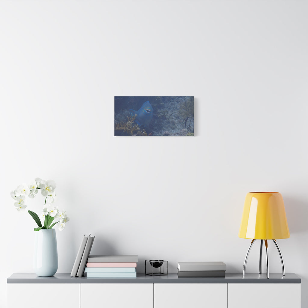 Underwater Parrotfish Canvas Print — Tropical Reef Wall Art