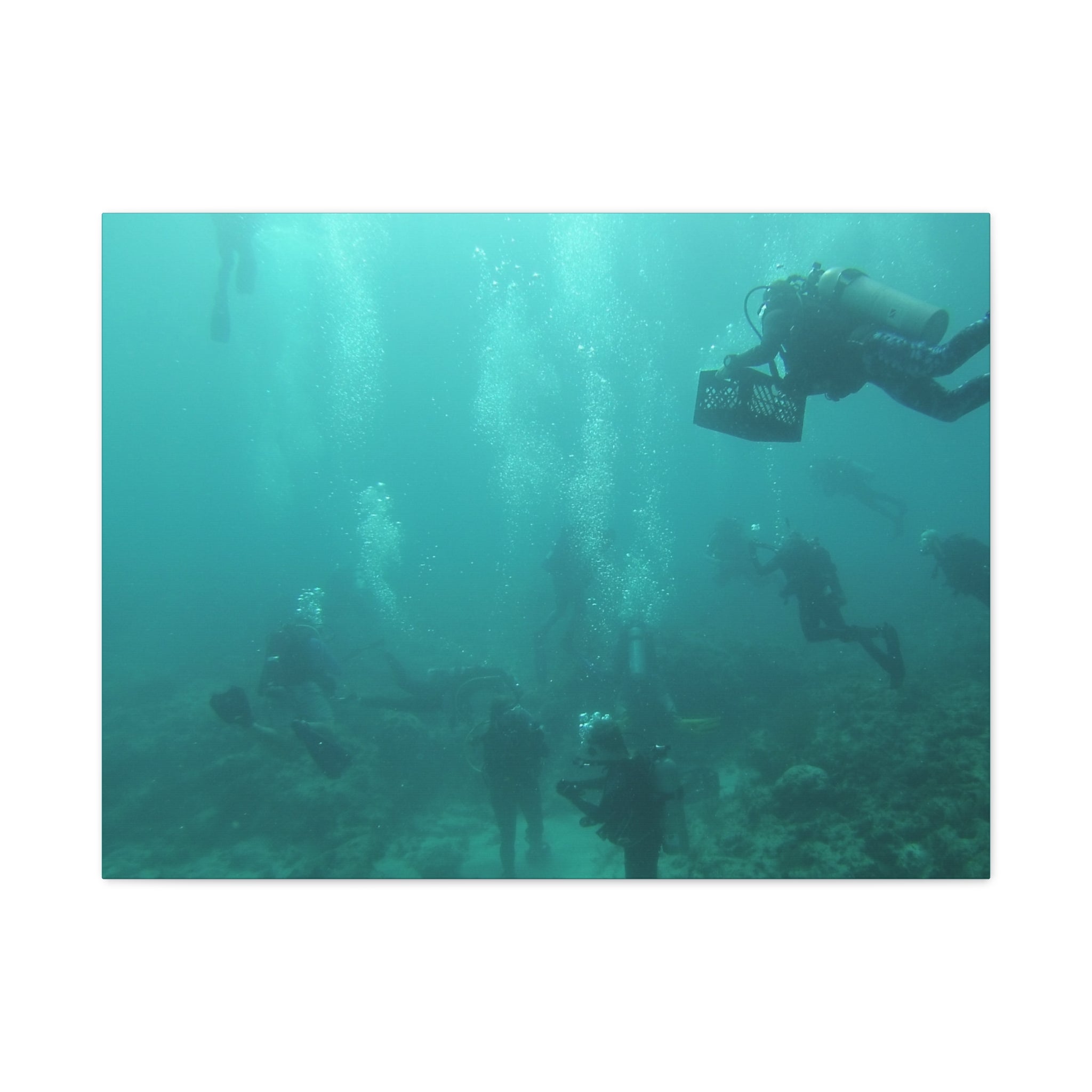 Diving over the Reef Matte Canvas