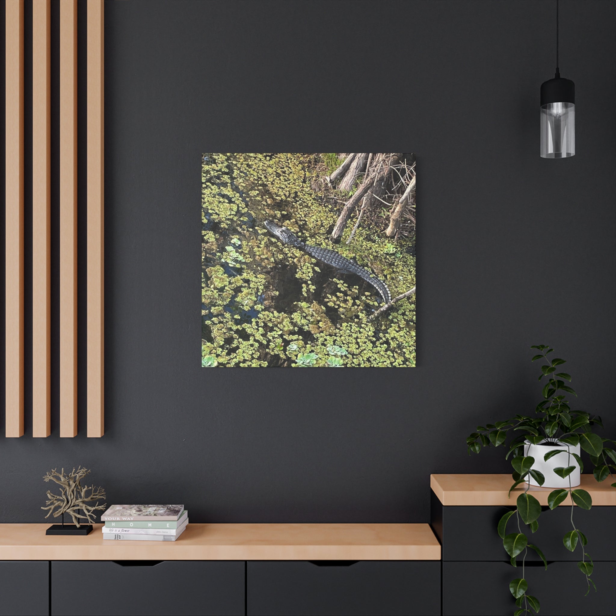 Alligator Photography Canvas Print — Matte Stretched Wall Art