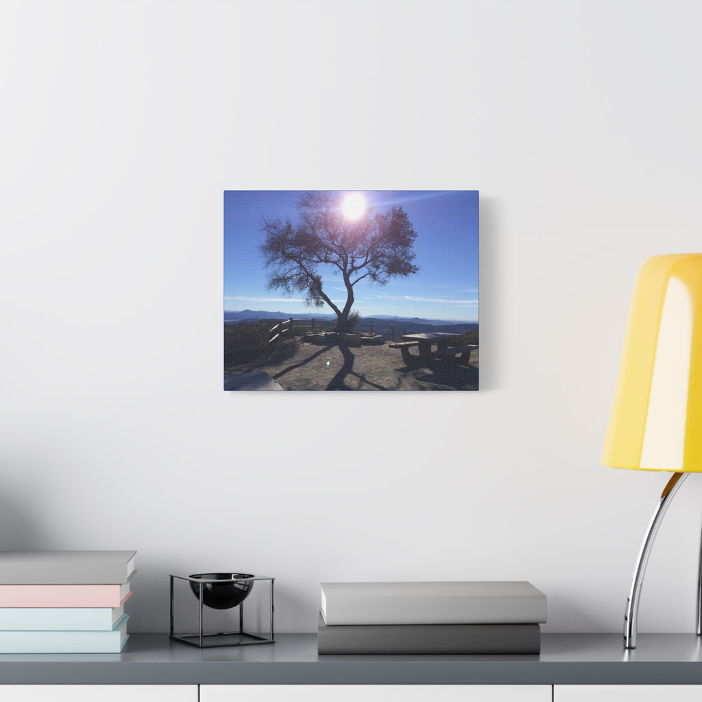 Sunlit Ridge Tree Matte Canvas Print — Scenic Landscape Wall Art