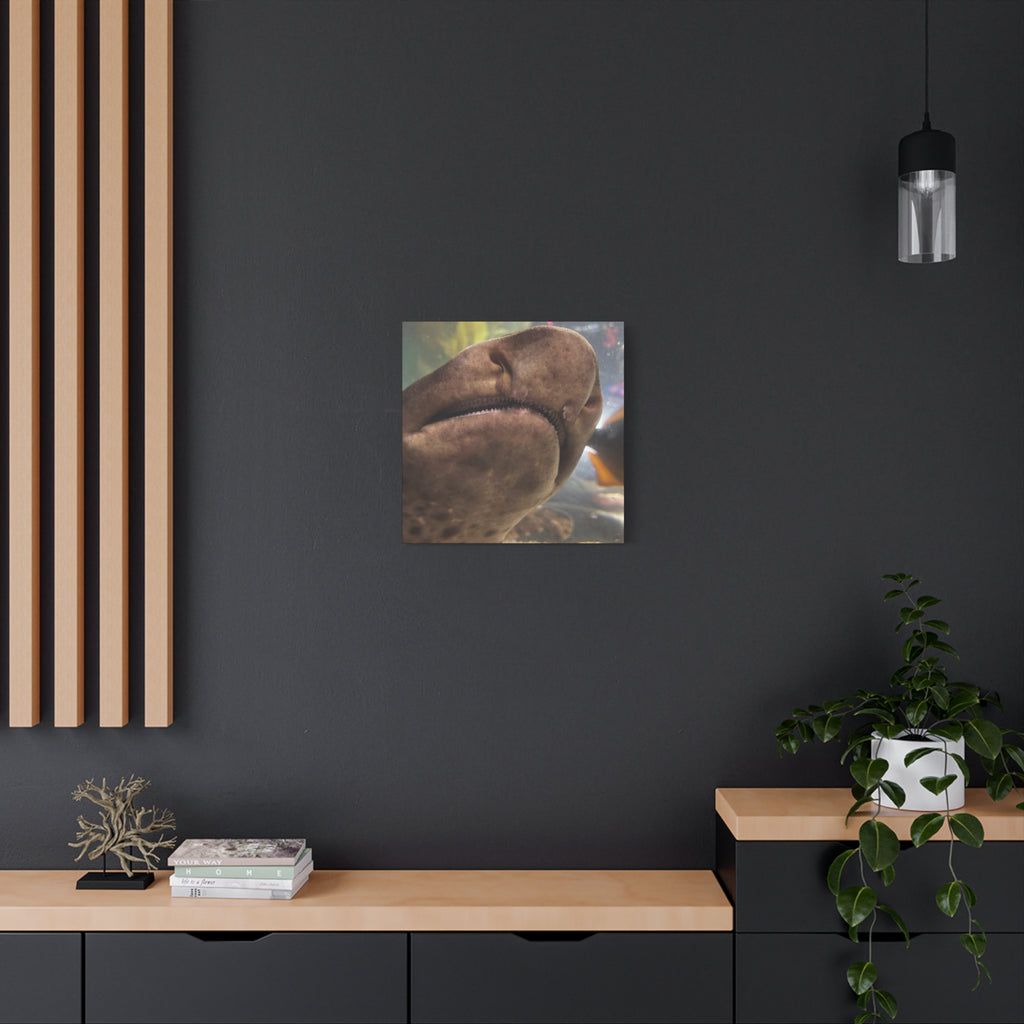 Swell Shark Close-Up Matte Canvas Print — Stretched 1.25" Wall Art