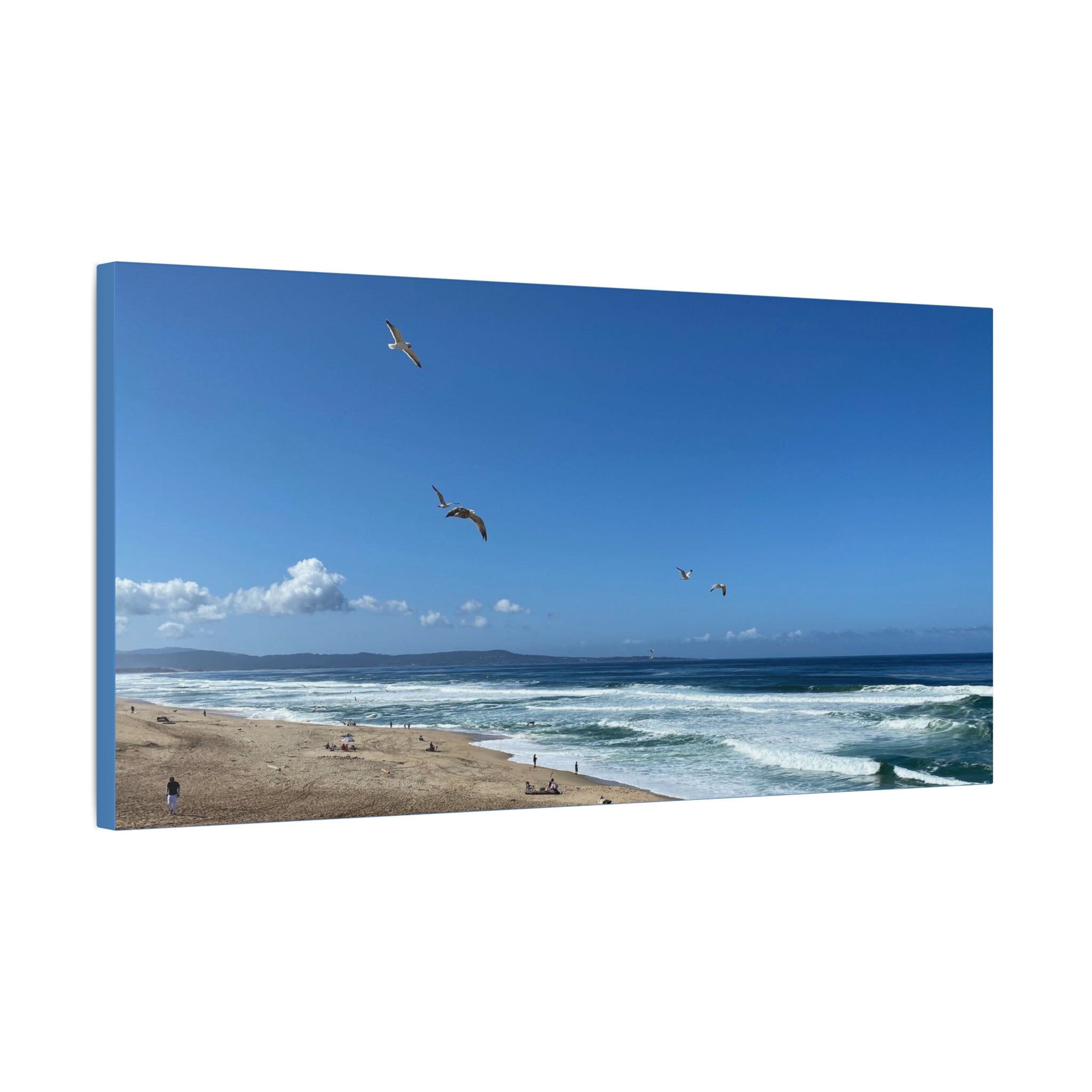 Coastal Seascape Canvas Print — Panoramic Beach with Seagulls