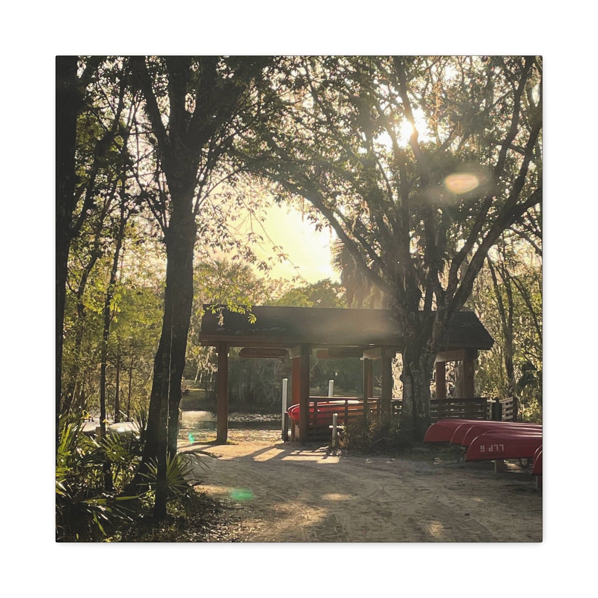 Hazy Morning Kayak - Sunlit Forest Matte Stretched Wall Art
