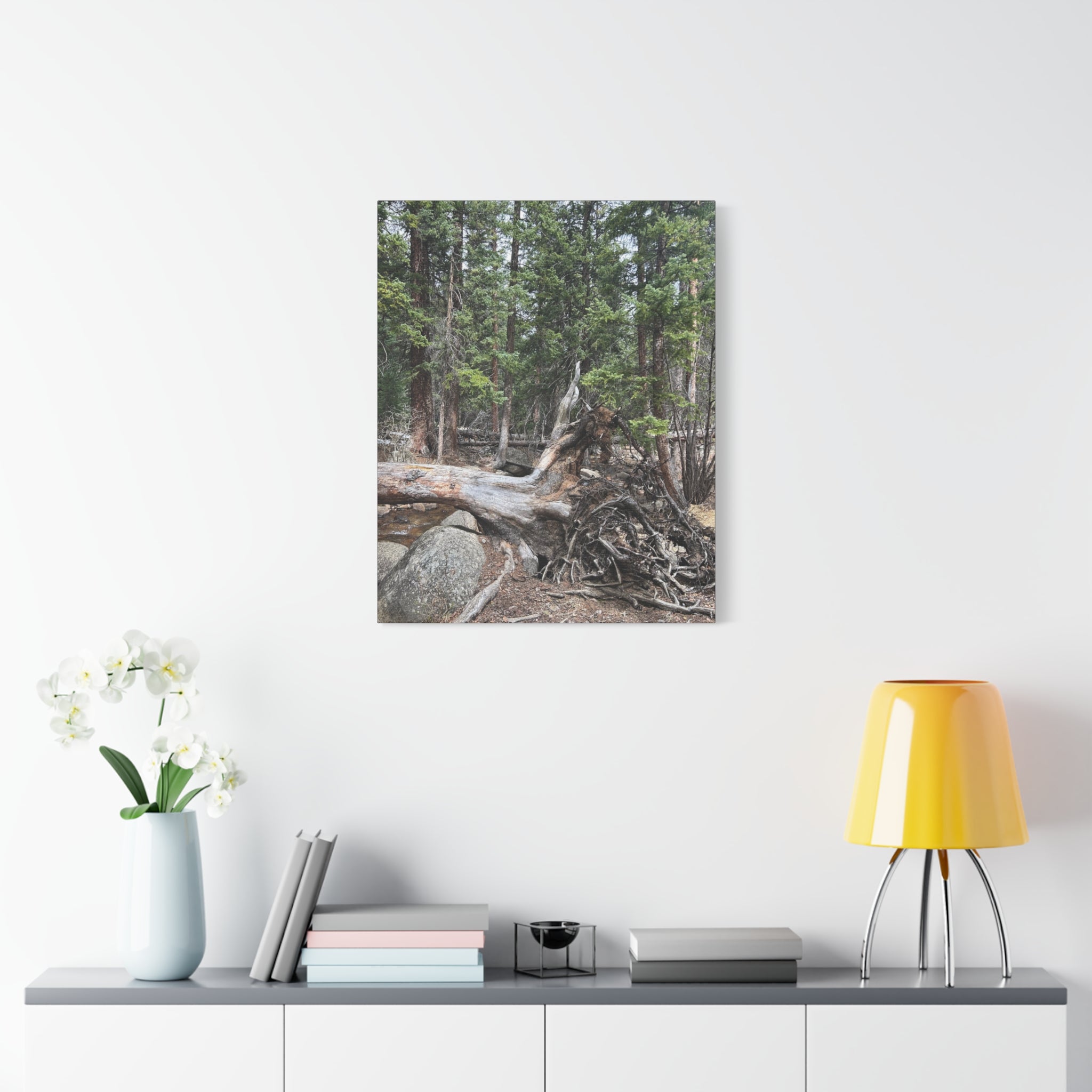 Forest Rootscape Matte Canvas Print — Stretched Wall Art