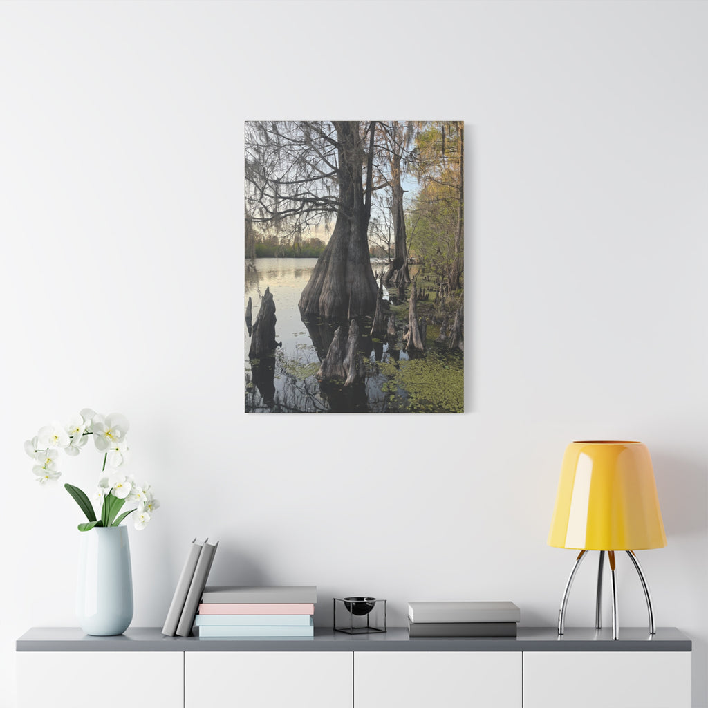 Swamp Matte Stretched Canvas