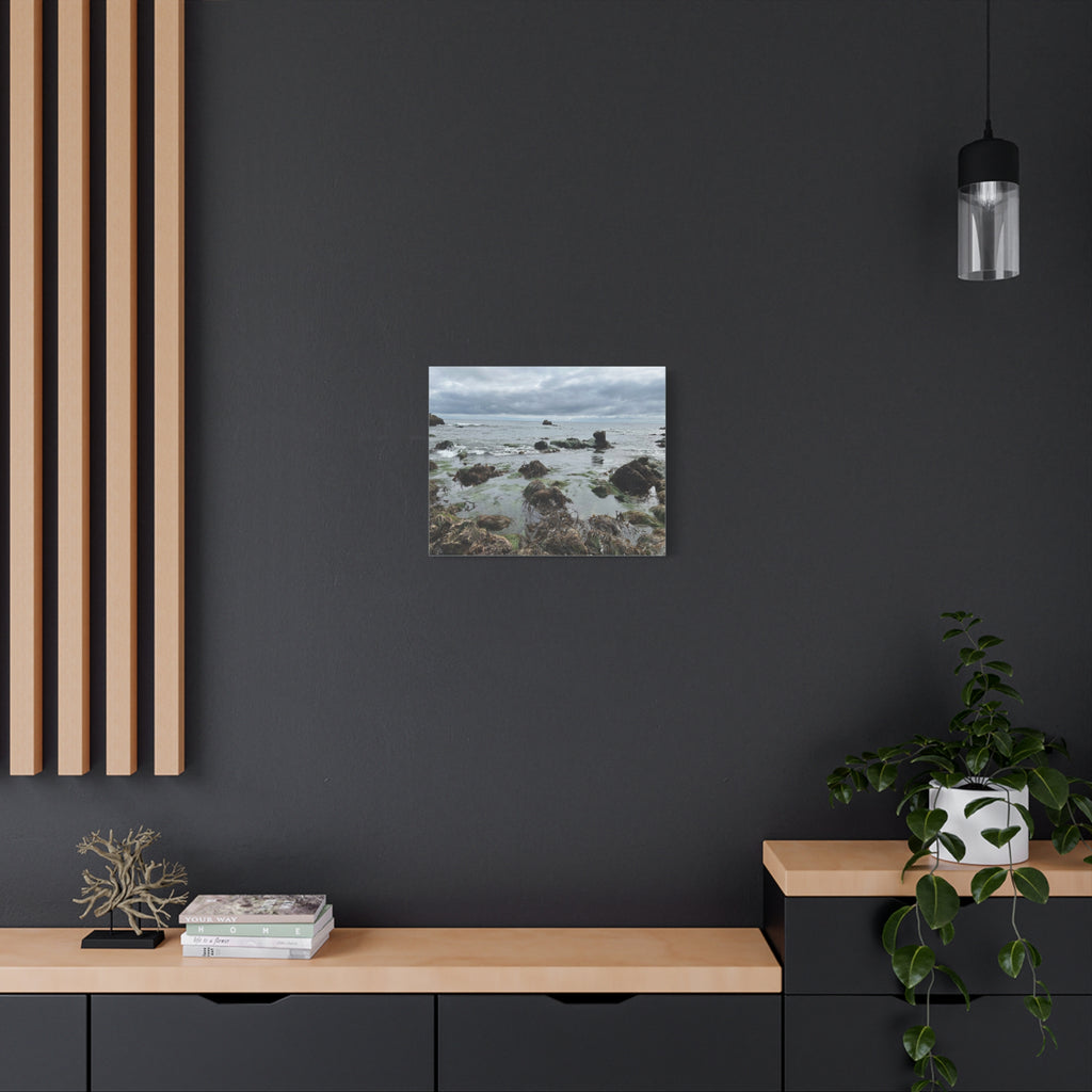 Coastal Tidepool Canvas Wall Art – Moody Gray Seashore Matte Stretched Canvas