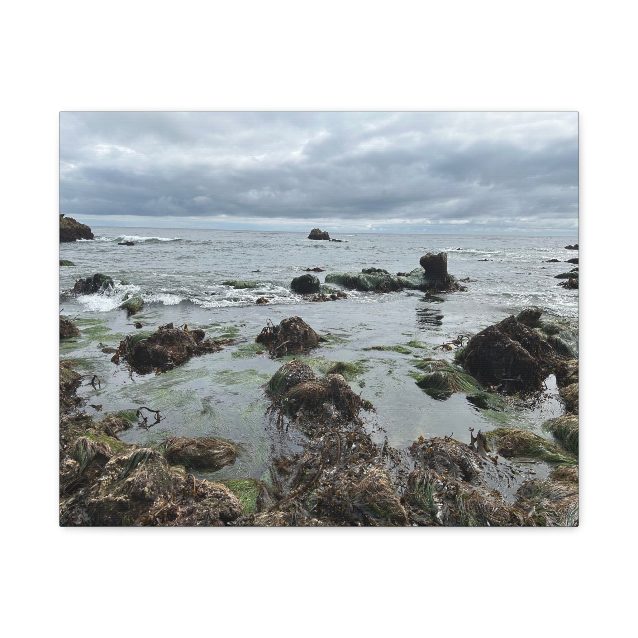 Coastal Tidepool Canvas Wall Art – Moody Gray Seashore Matte Stretched Canvas