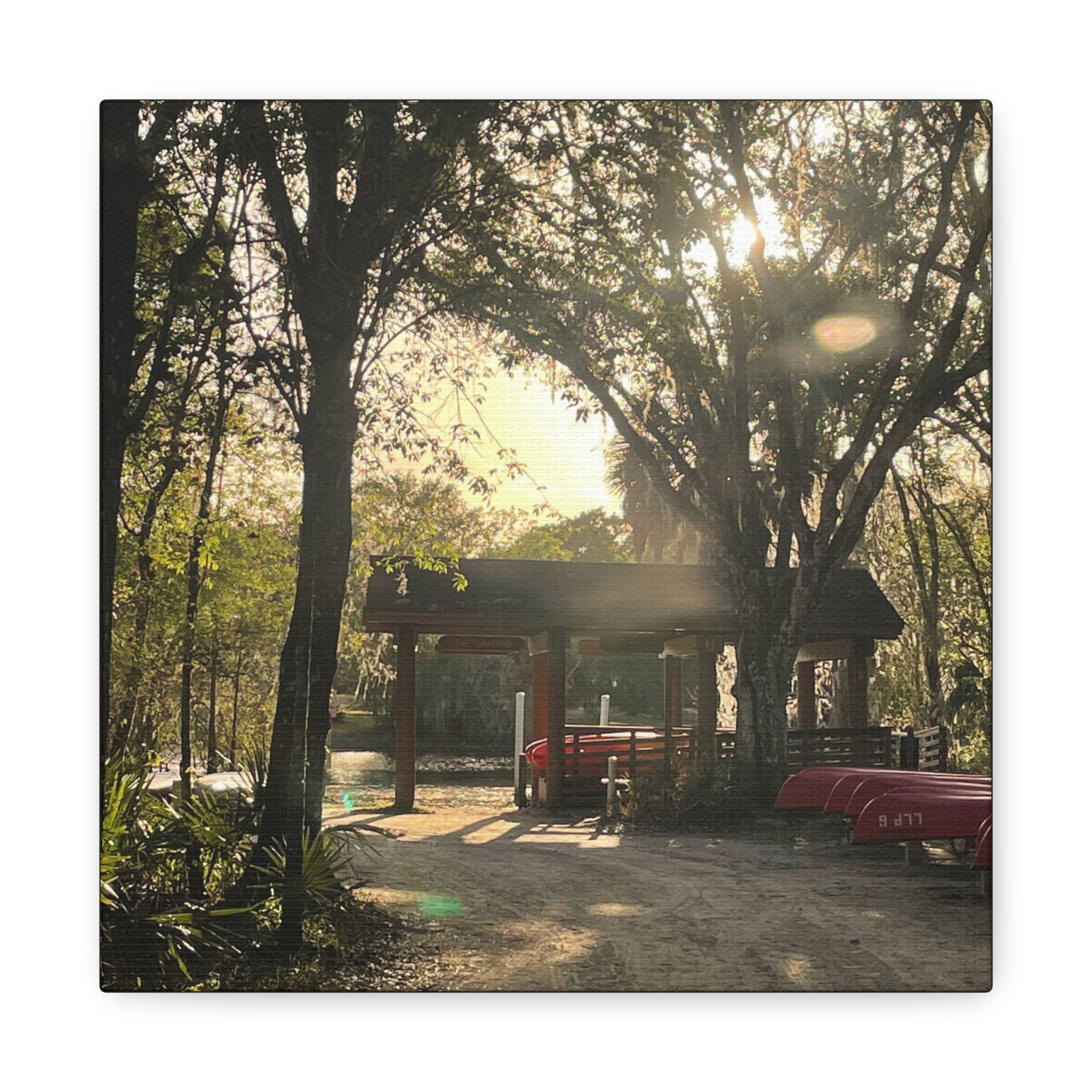 Hazy Morning Kayak - Sunlit Forest Matte Stretched Wall Art