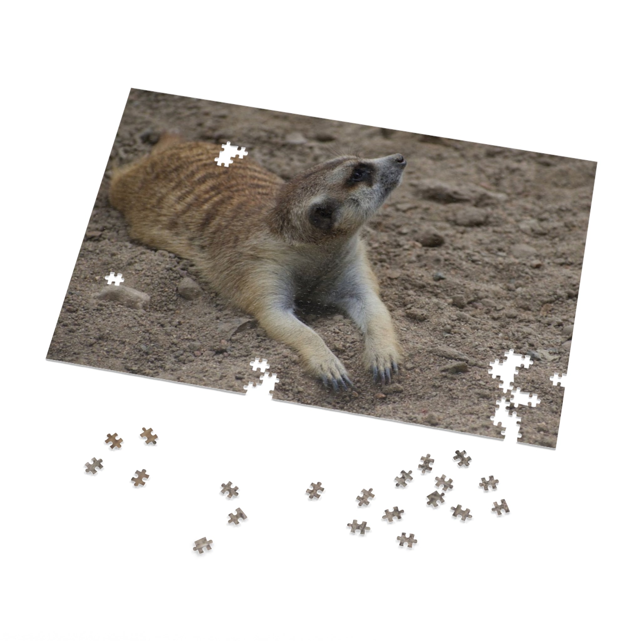Meerkat Jigsaw Puzzle with Tin – Wildlife Puzzle Gift