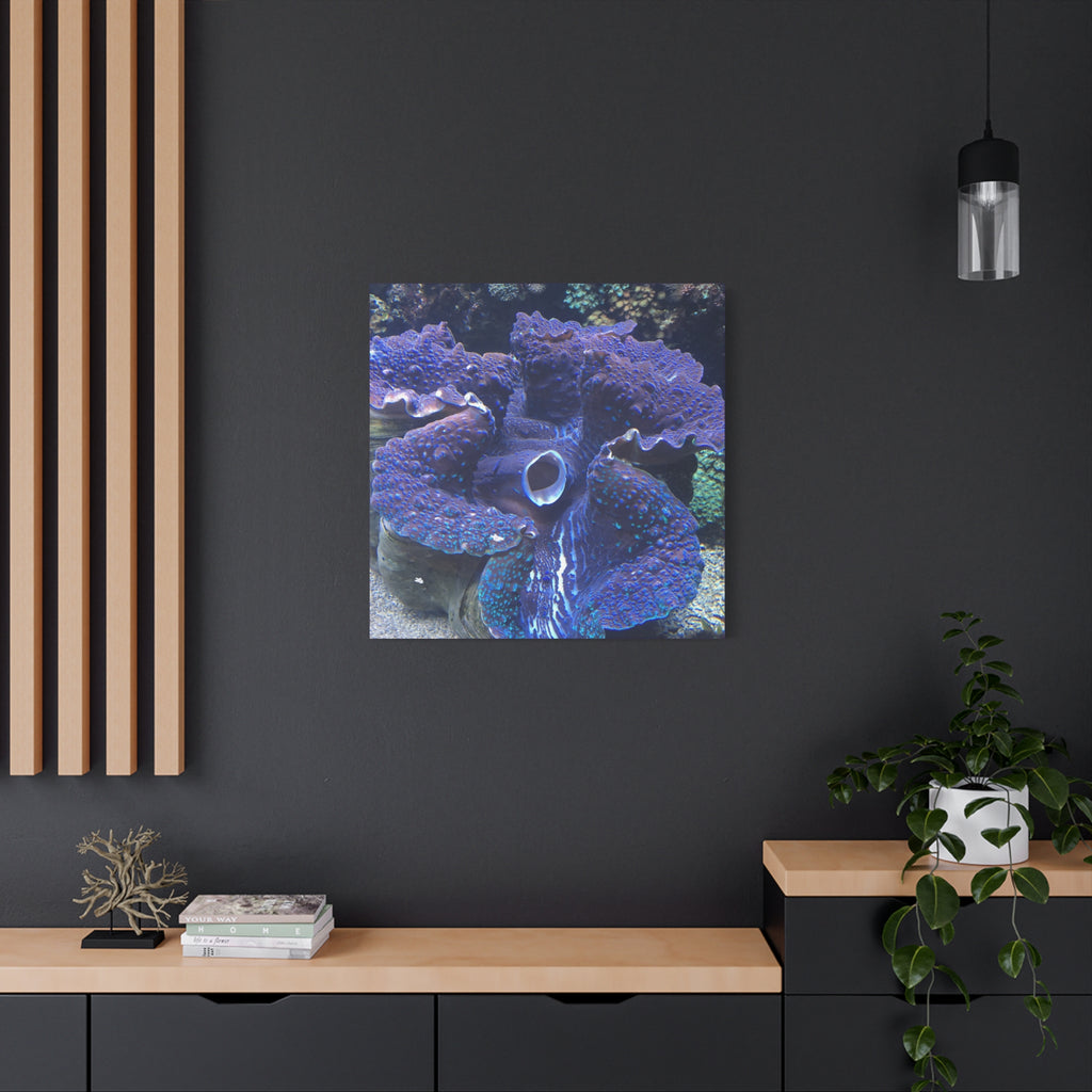 Blue Tridacna Clam Matte Canvas Print — Vibrant Ocean Coral Wall Art