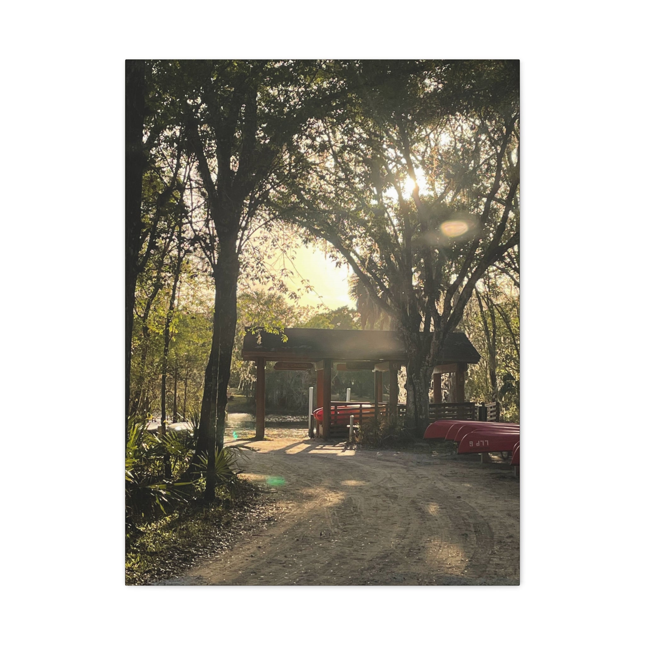 Hazy Morning Kayak - Sunlit Forest Matte Stretched Wall Art