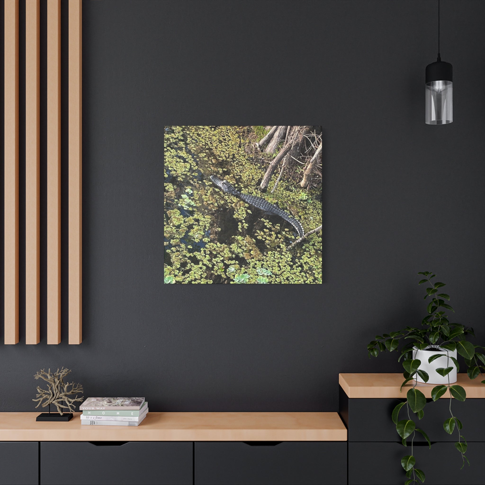Alligator Photography Canvas Print — Matte Stretched Wall Art