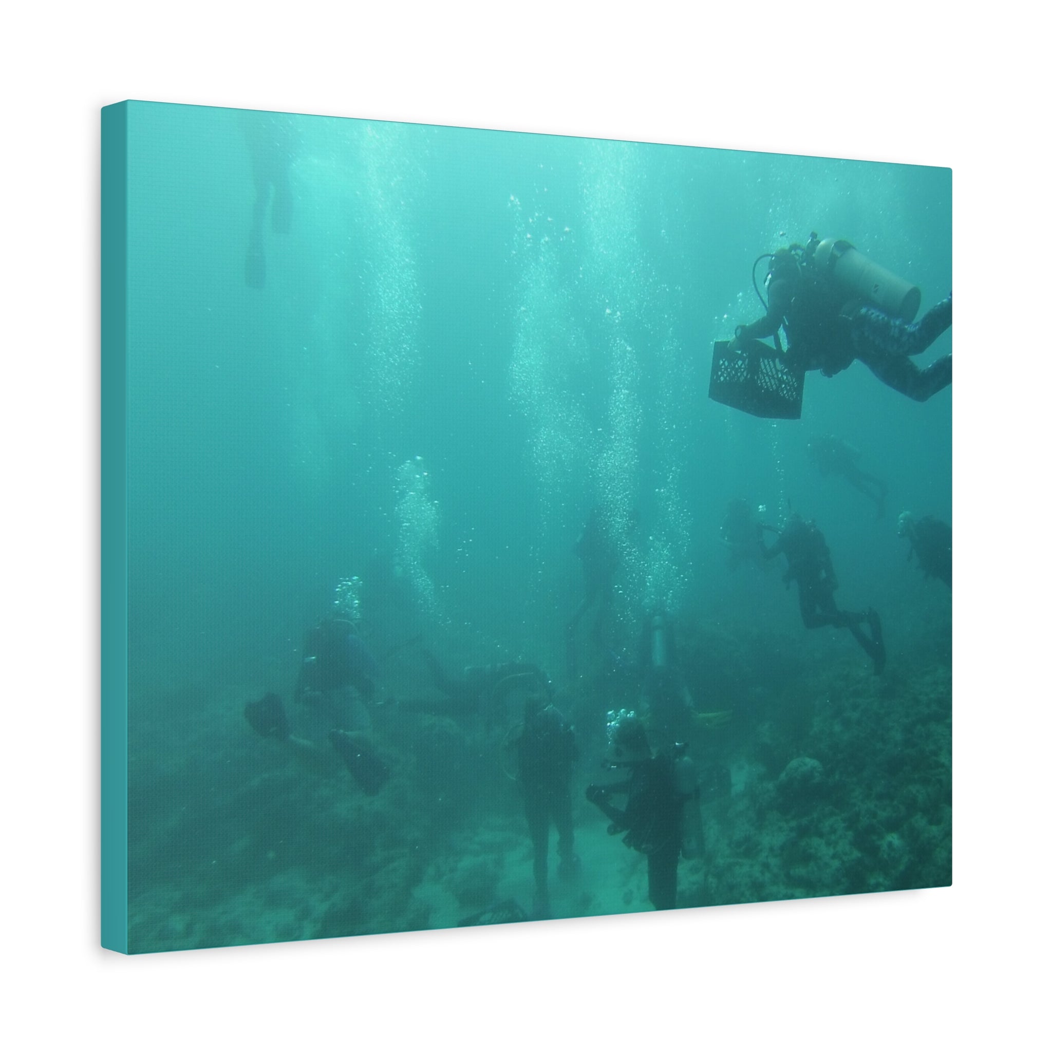 Diving over the Reef Matte Canvas