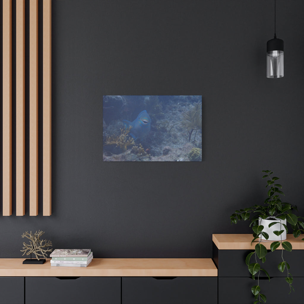 Underwater Parrotfish Canvas Print — Tropical Reef Wall Art