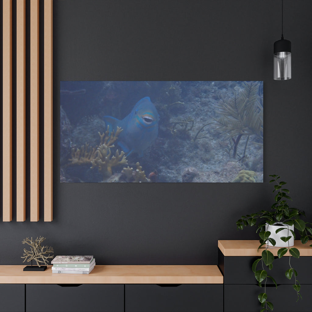 Underwater Parrotfish Canvas Print — Tropical Reef Wall Art
