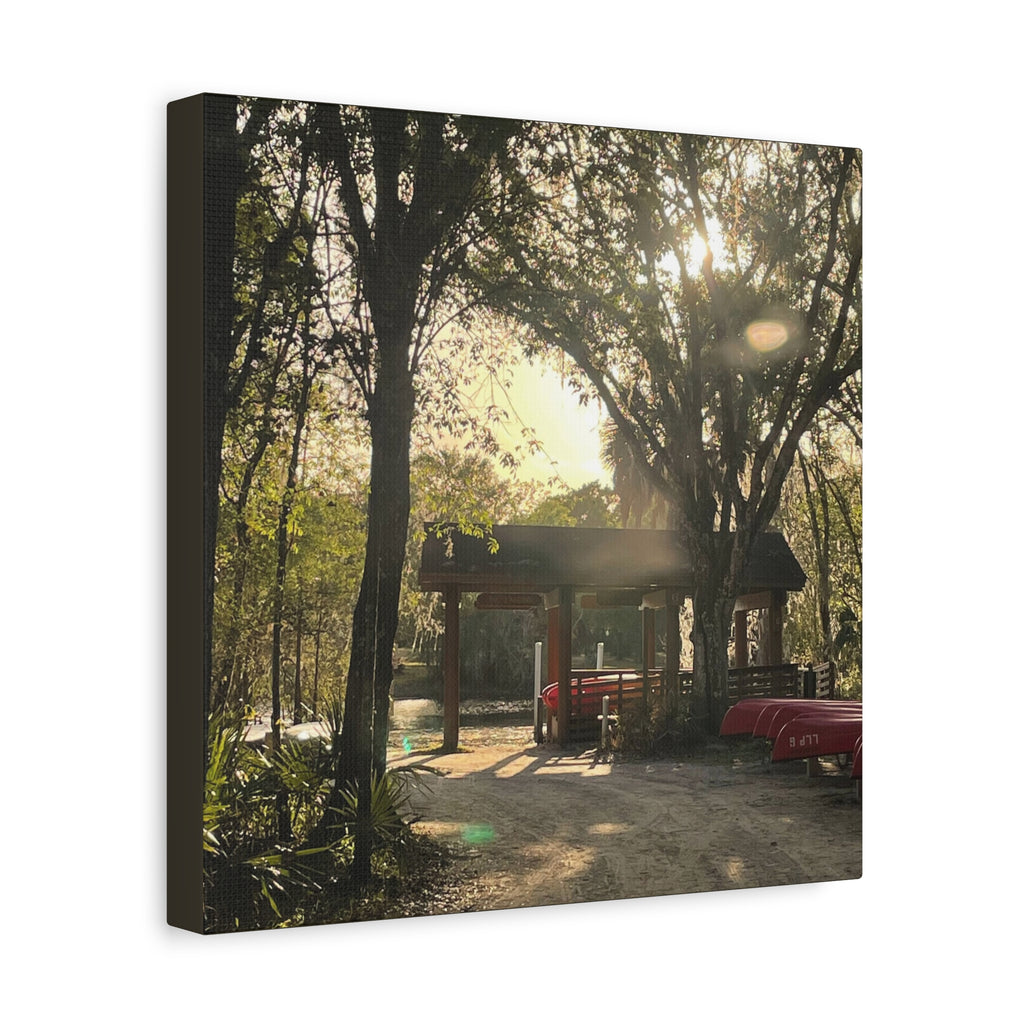 Hazy Morning Kayak - Sunlit Forest Matte Stretched Wall Art