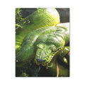 Green Tree Python Canvas Print — Tropical Snake Wall Art (Matte Stretched)