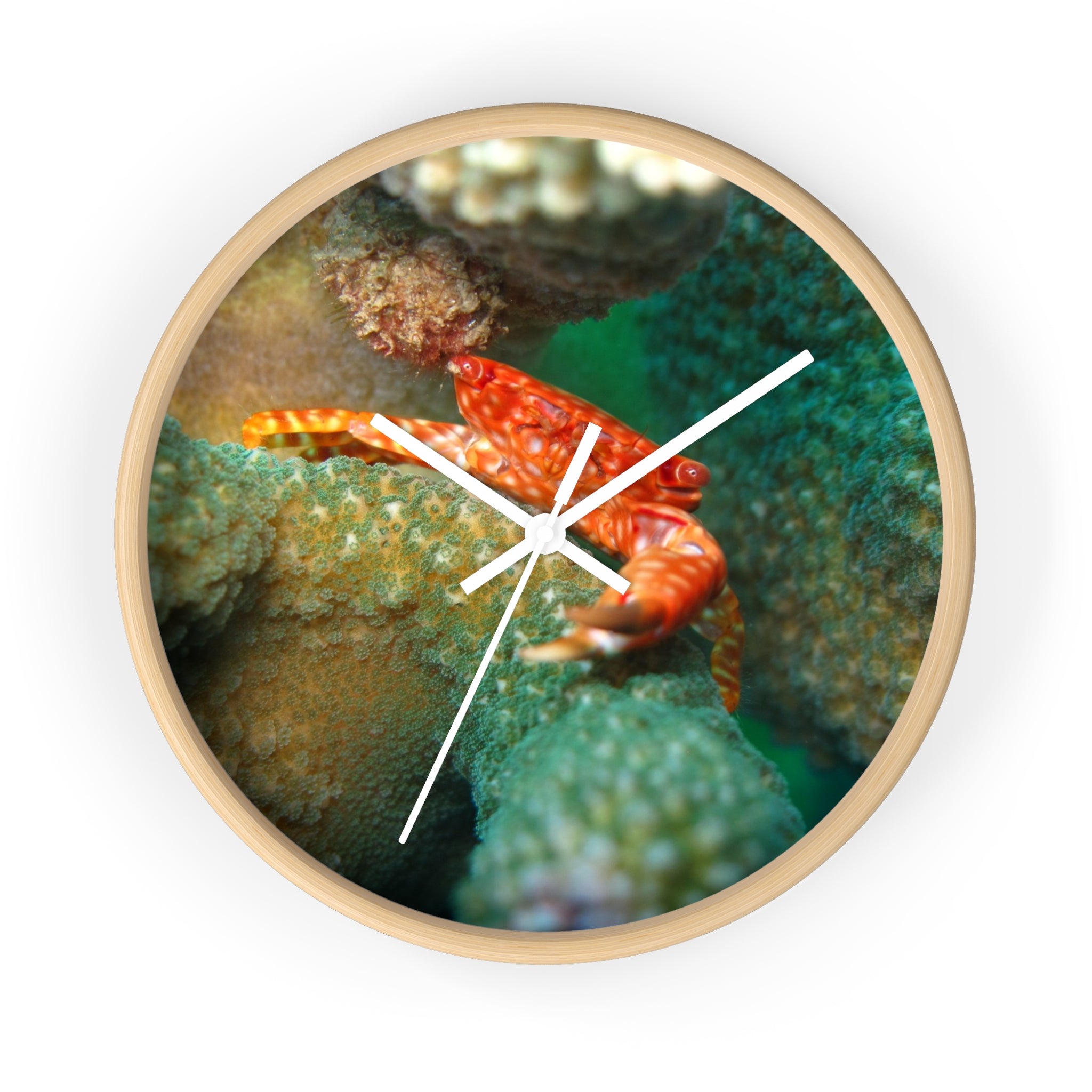 Coral Reef Crab Wall Clock — Vibrant Underwater Ocean Decor