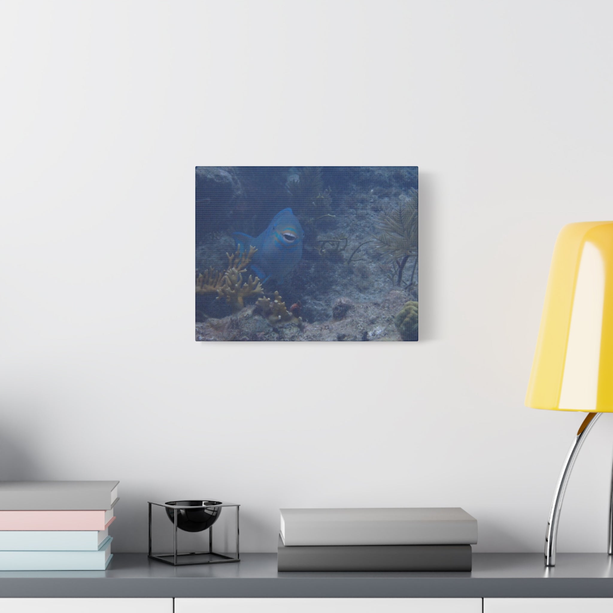 Underwater Parrotfish Canvas Print — Tropical Reef Wall Art