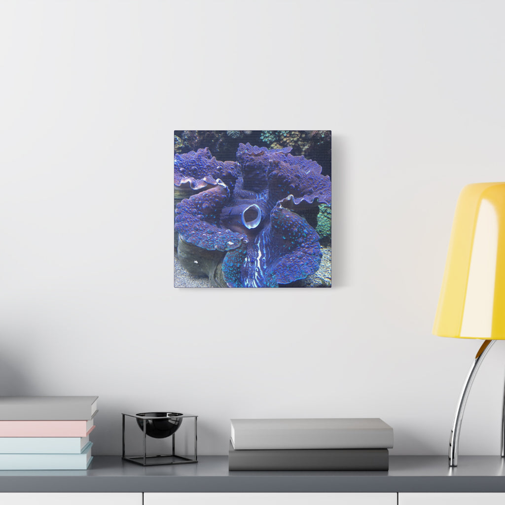 Blue Tridacna Clam Matte Canvas Print — Vibrant Ocean Coral Wall Art