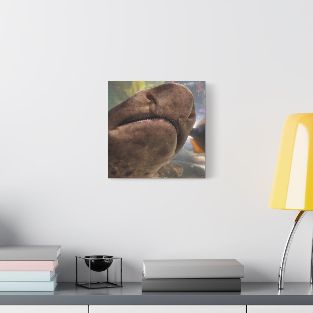 Swell Shark Close-Up Matte Canvas Print — Stretched 1.25" Wall Art