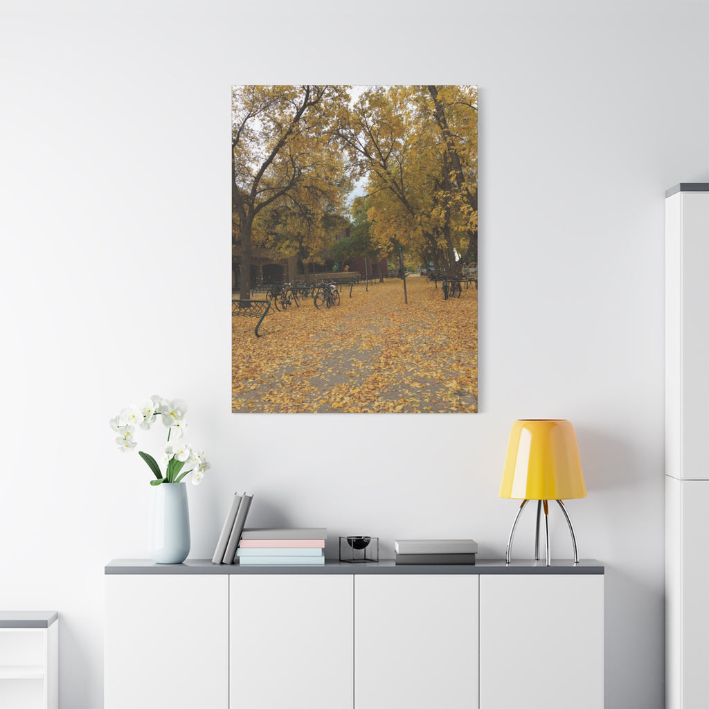 Autumn Campus Walk Matte Canvas Print