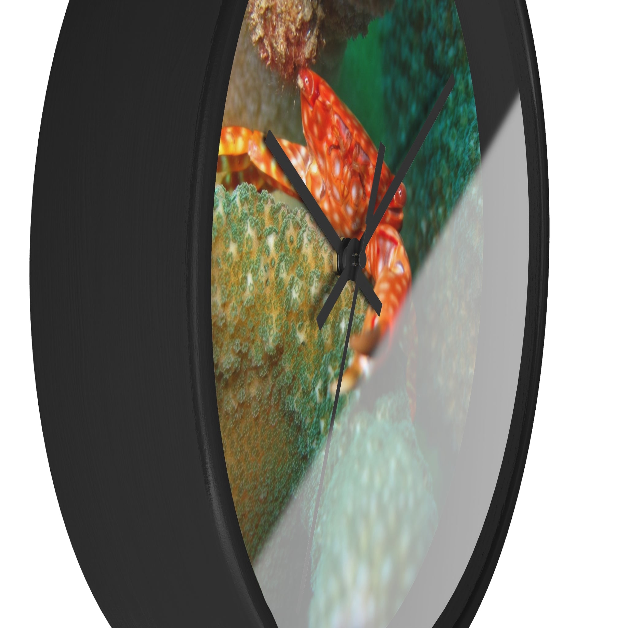 Coral Reef Crab Wall Clock — Vibrant Underwater Ocean Decor