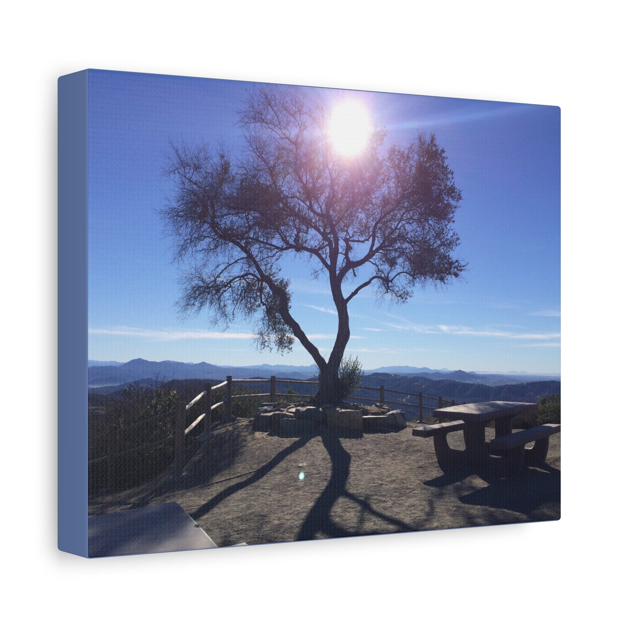 Sunlit Ridge Tree Matte Canvas Print — Scenic Landscape Wall Art