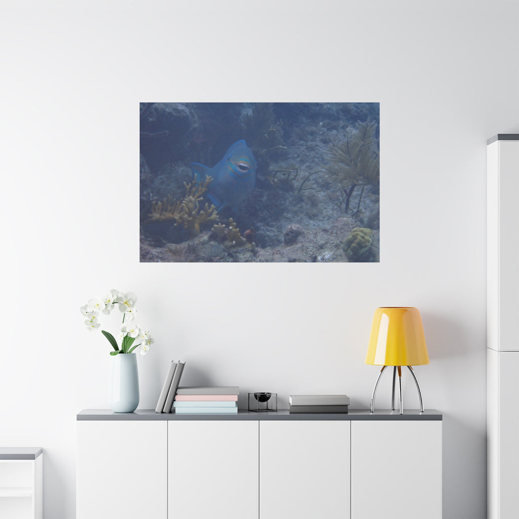 Underwater Parrotfish Canvas Print — Tropical Reef Wall Art
