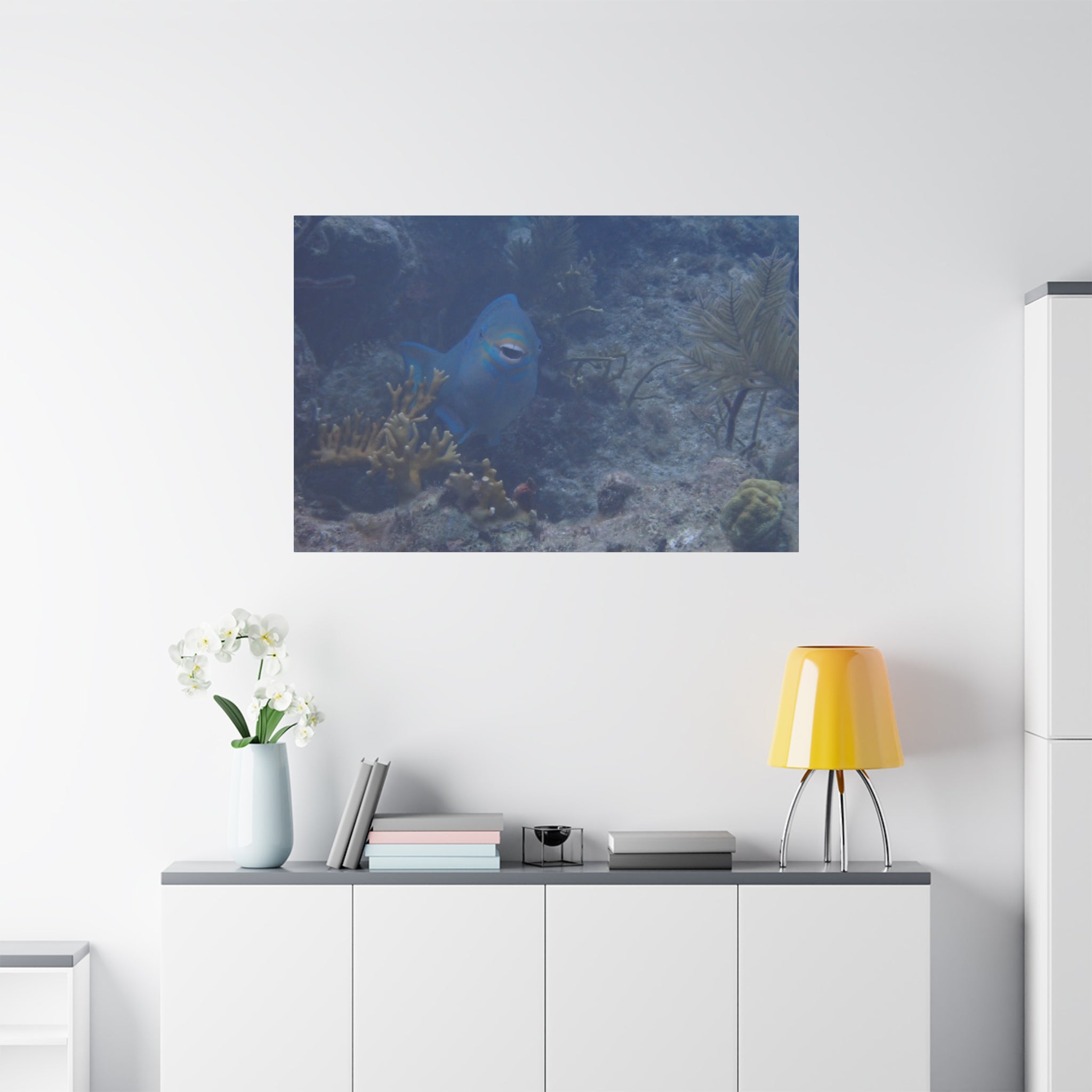 Underwater Parrotfish Canvas Print — Tropical Reef Wall Art