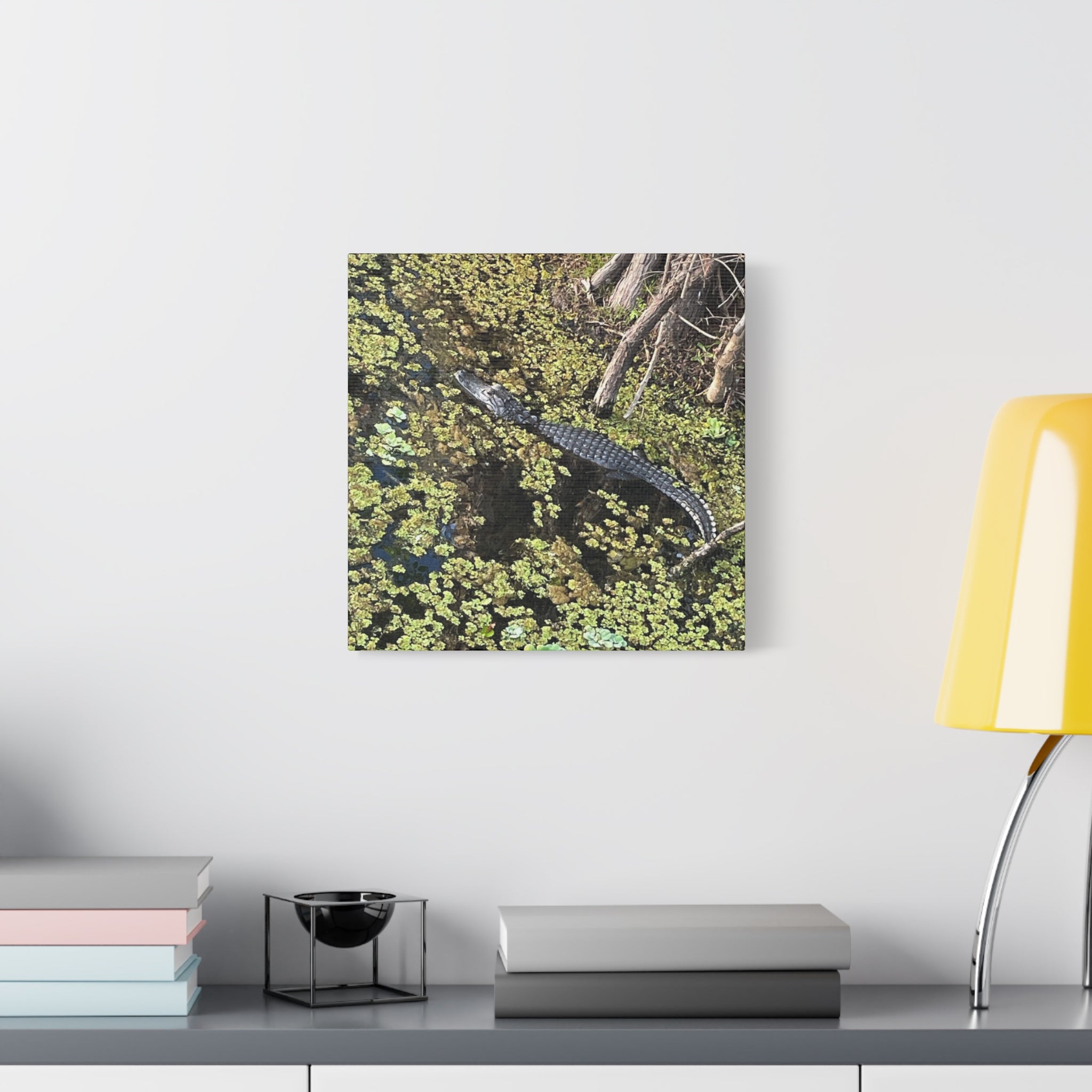 Alligator Photography Canvas Print — Matte Stretched Wall Art