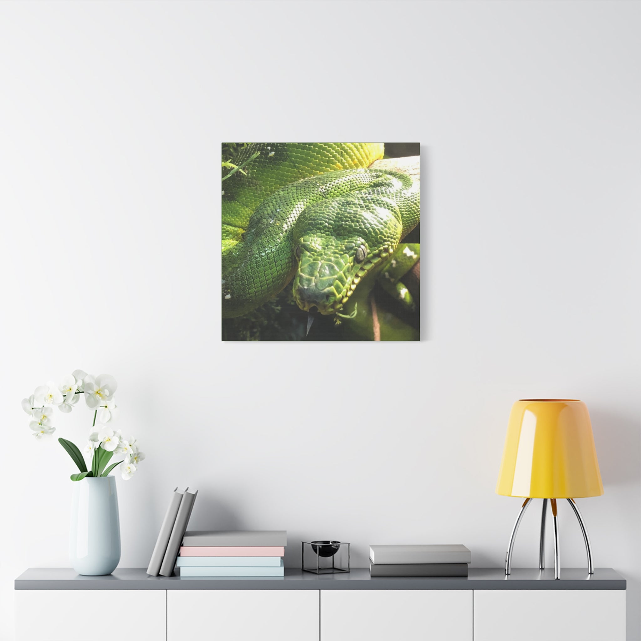 Green Tree Python Canvas Print — Tropical Snake Wall Art (Matte Stretched)