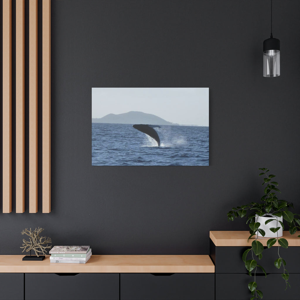 Humpback Whale Breach Matte Canvas Wall Art
