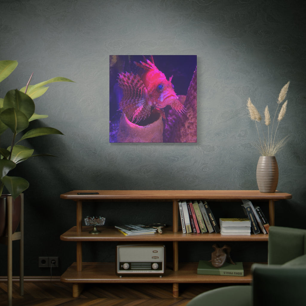 Fuzzy Dwarf Lionfish Canvas Print — Vibrant Marine Wall Art (1.25" Stretched)