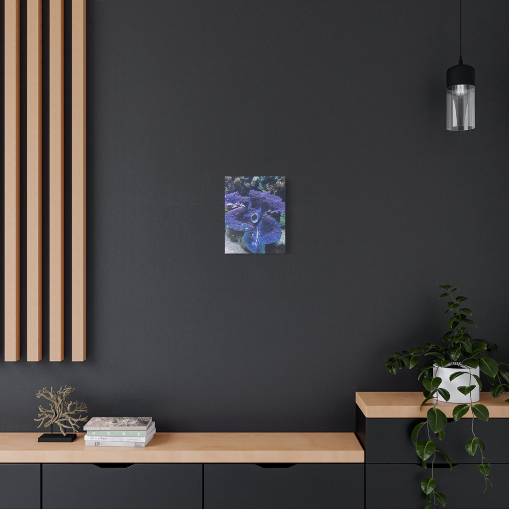 Blue Tridacna Clam Matte Canvas Print — Vibrant Ocean Coral Wall Art