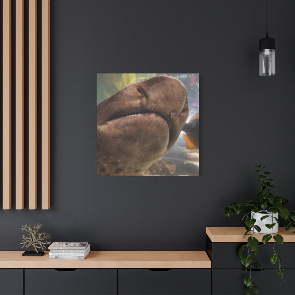 Swell Shark Close-Up Matte Canvas Print — Stretched 1.25" Wall Art