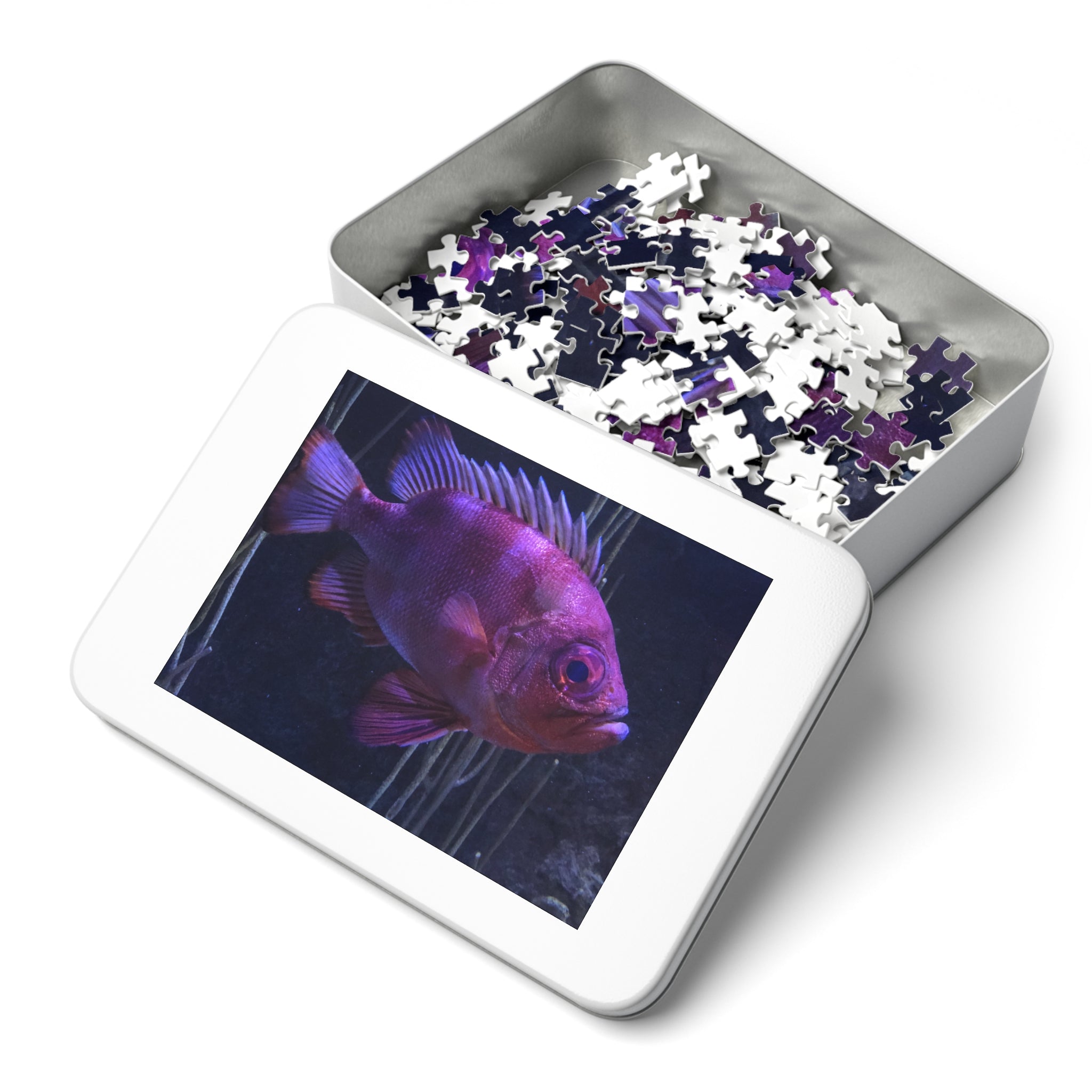 Popeye Catalufa Jigsaw Puzzle — Fish Puzzle with Tin Gift Box