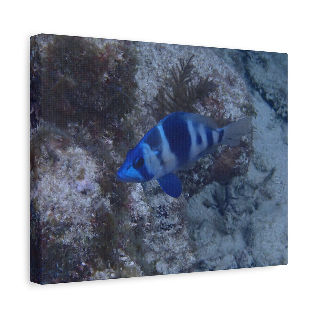 Indigo Hamlet Canvas Print — Underwater Matte Stretched Wall Art